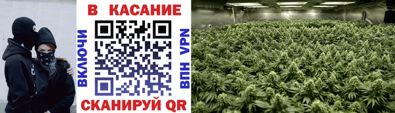 Купить наркотики сайты Электрогорск Галлюциногенные грибы  Cocaine  Мефедрон  Гашиш 