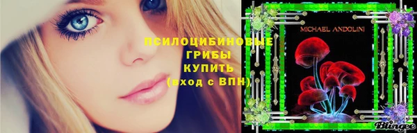 метамфетамин Елизово
