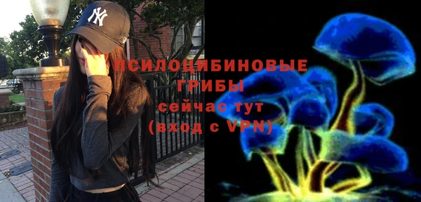 MDMA Premium VHQ Ельня