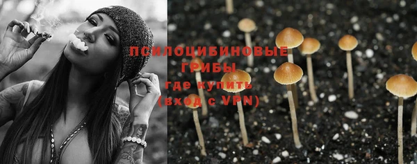 ПСИЛОЦИБИНОВЫЕ ГРИБЫ Елабуга