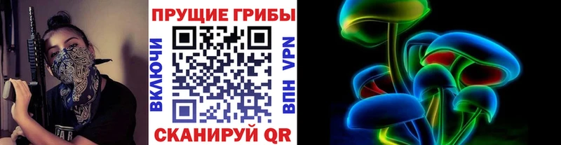 купить  сайты  Электрогорск  гидра ссылки  Псилоцибиновые грибы Magic Shrooms 