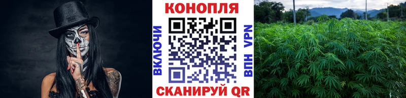 блэк спрут вход  Электрогорск  Бошки Шишки планчик 